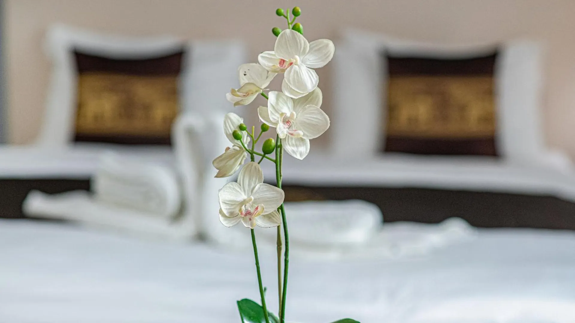 Andrassy Thai Hotel Budapest 3*,  Hungary